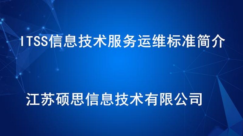 定制开发报价，IT外包的精准权衡**